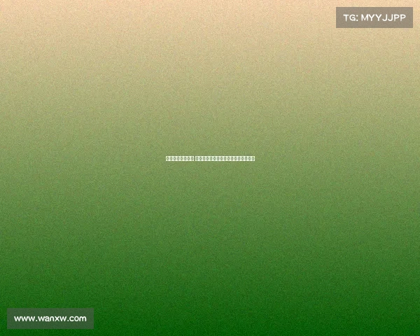 网球比赛全程解析 从赛前准备到赛后总结的完整流程指南